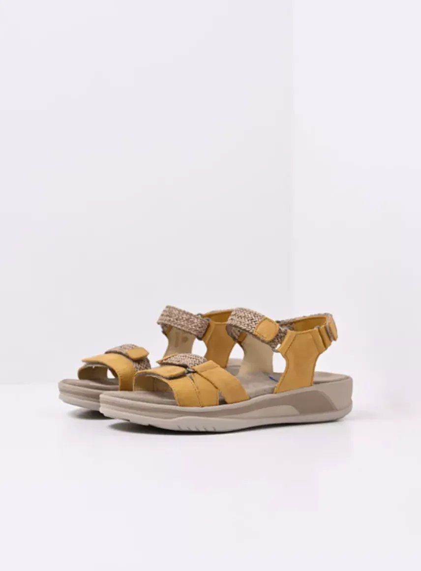 Acula - amber nubuck