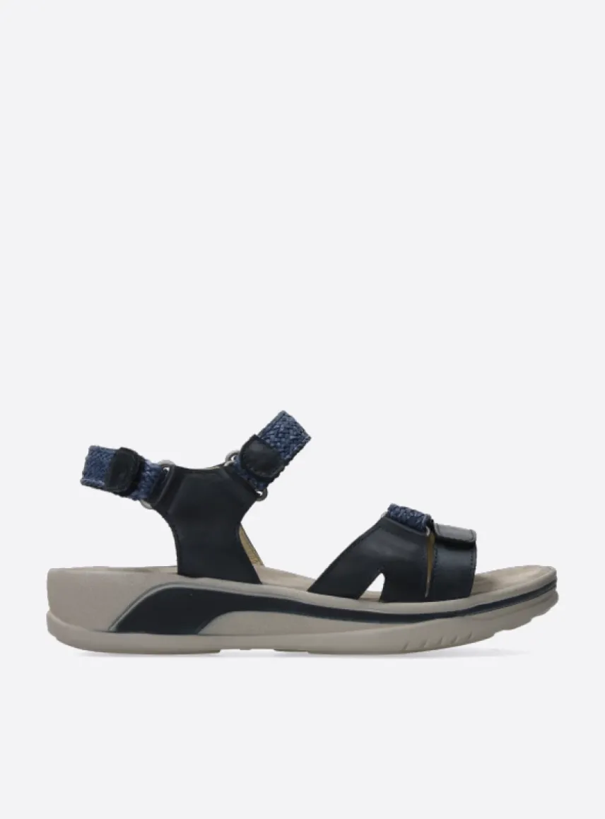 Acula - blauw leer