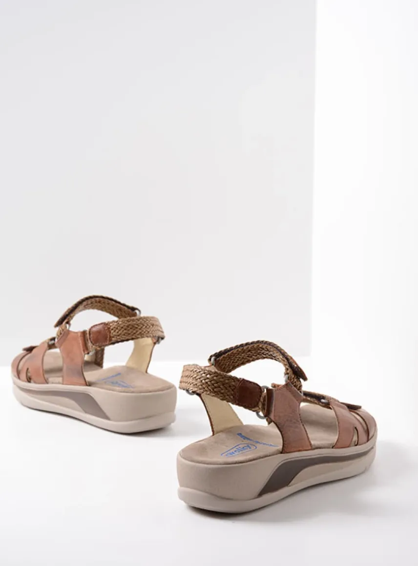 Acula - cognac leer