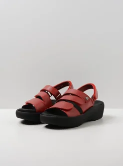 Avalon - rood leer