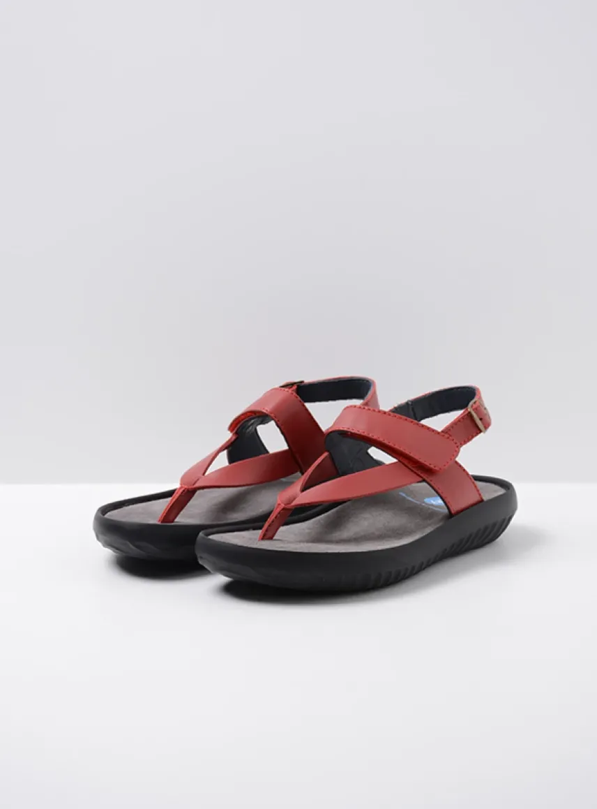 Cebu - rood leer