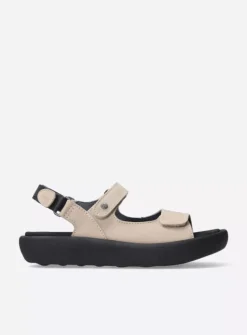 Celine XW - safari nubuck