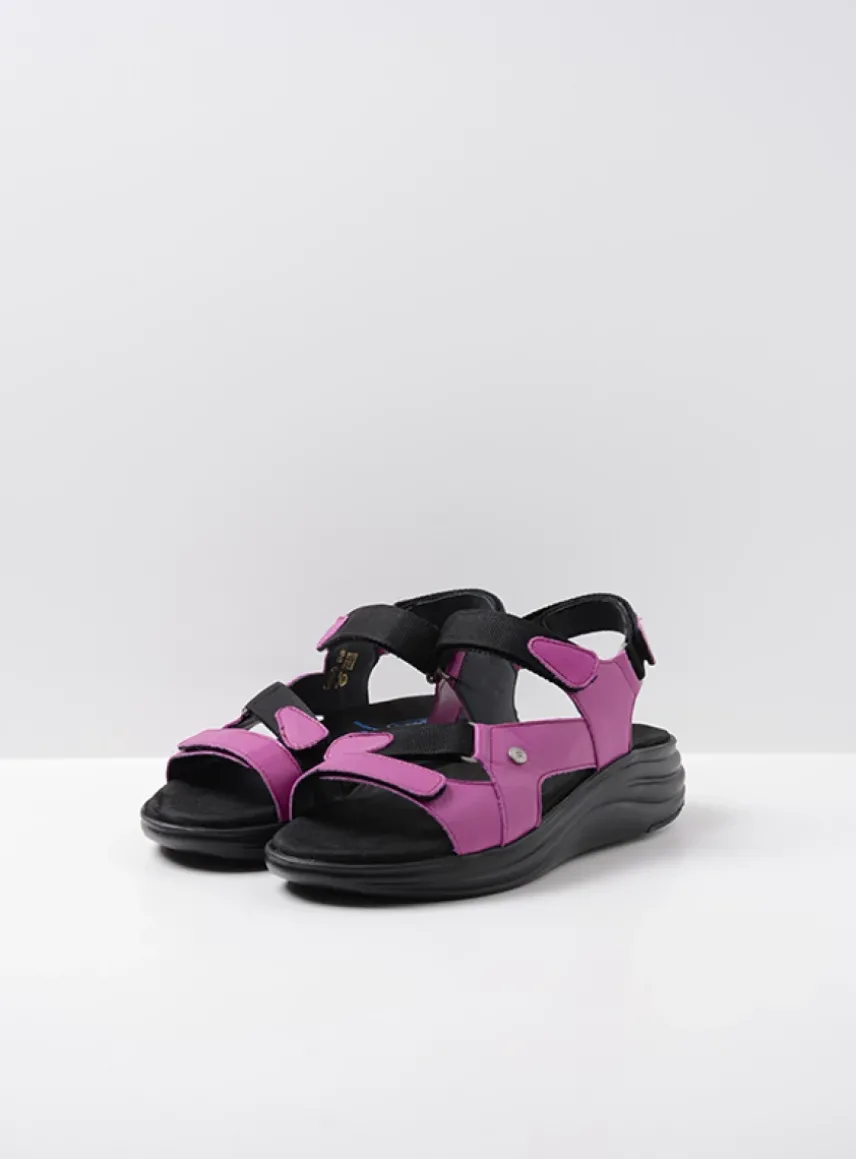 Cirro - fuchsia leer