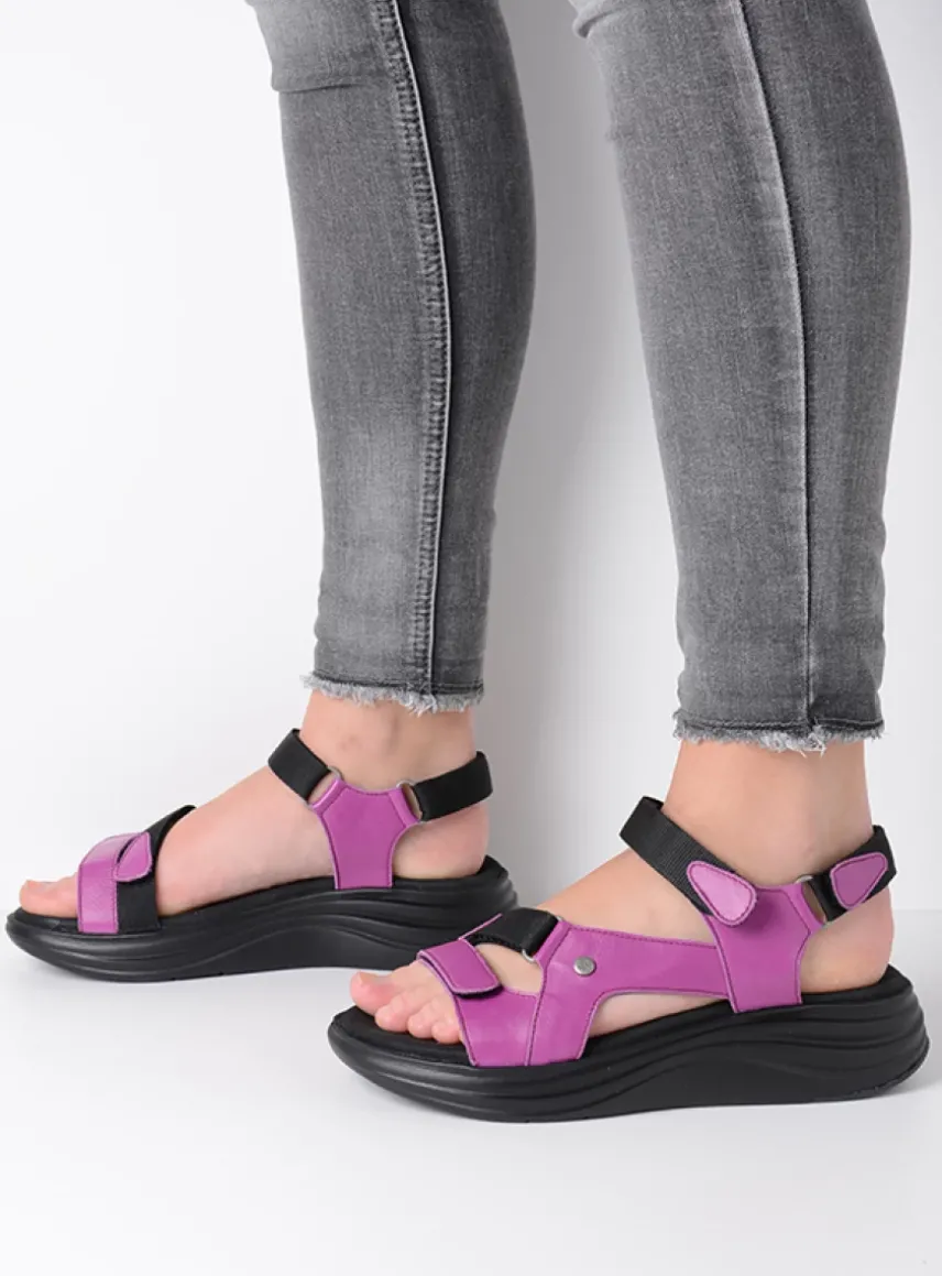 Cirro - fuchsia leer