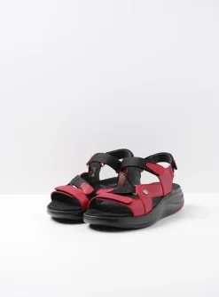 Cirro - rood leer