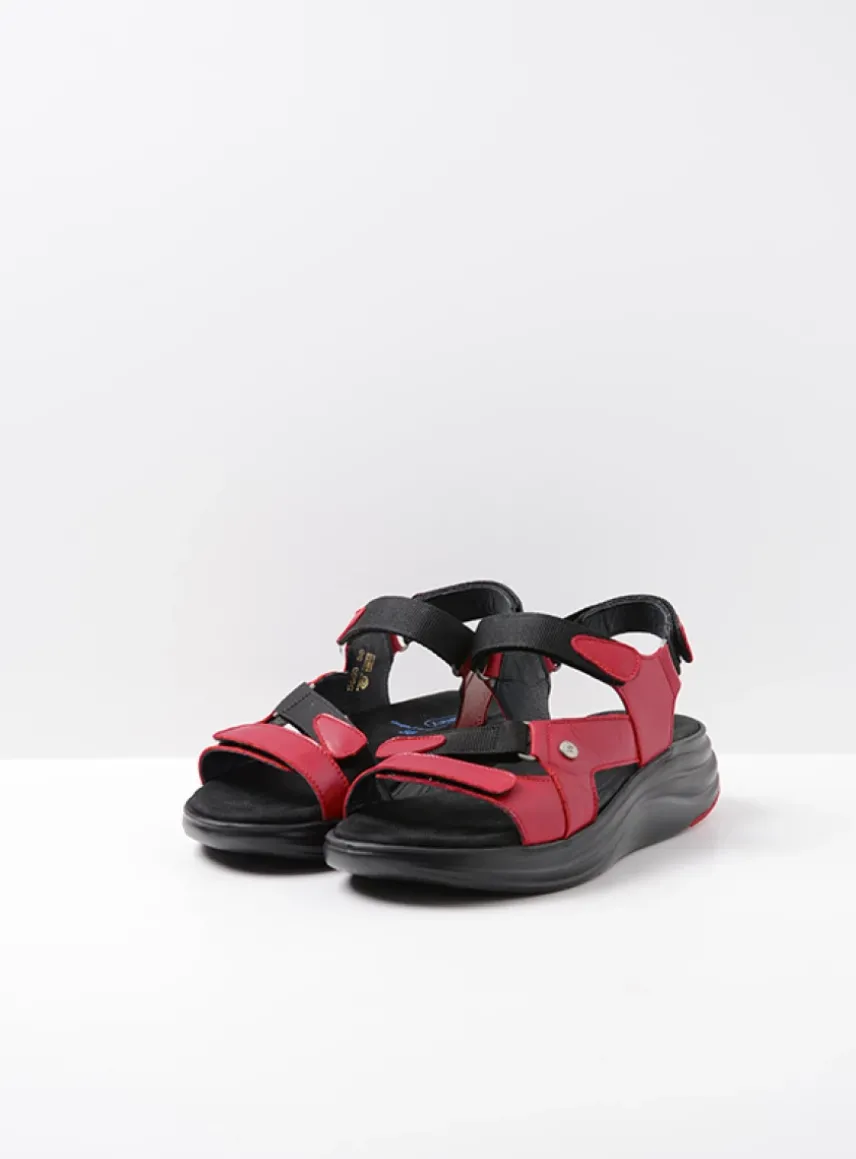 Cirro - rood leer