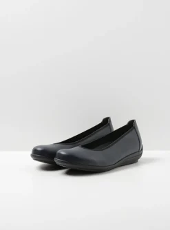 Duncan F2F - blauw biocare