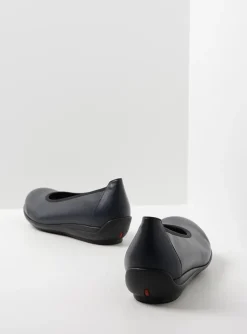 Duncan F2F - blauw biocare