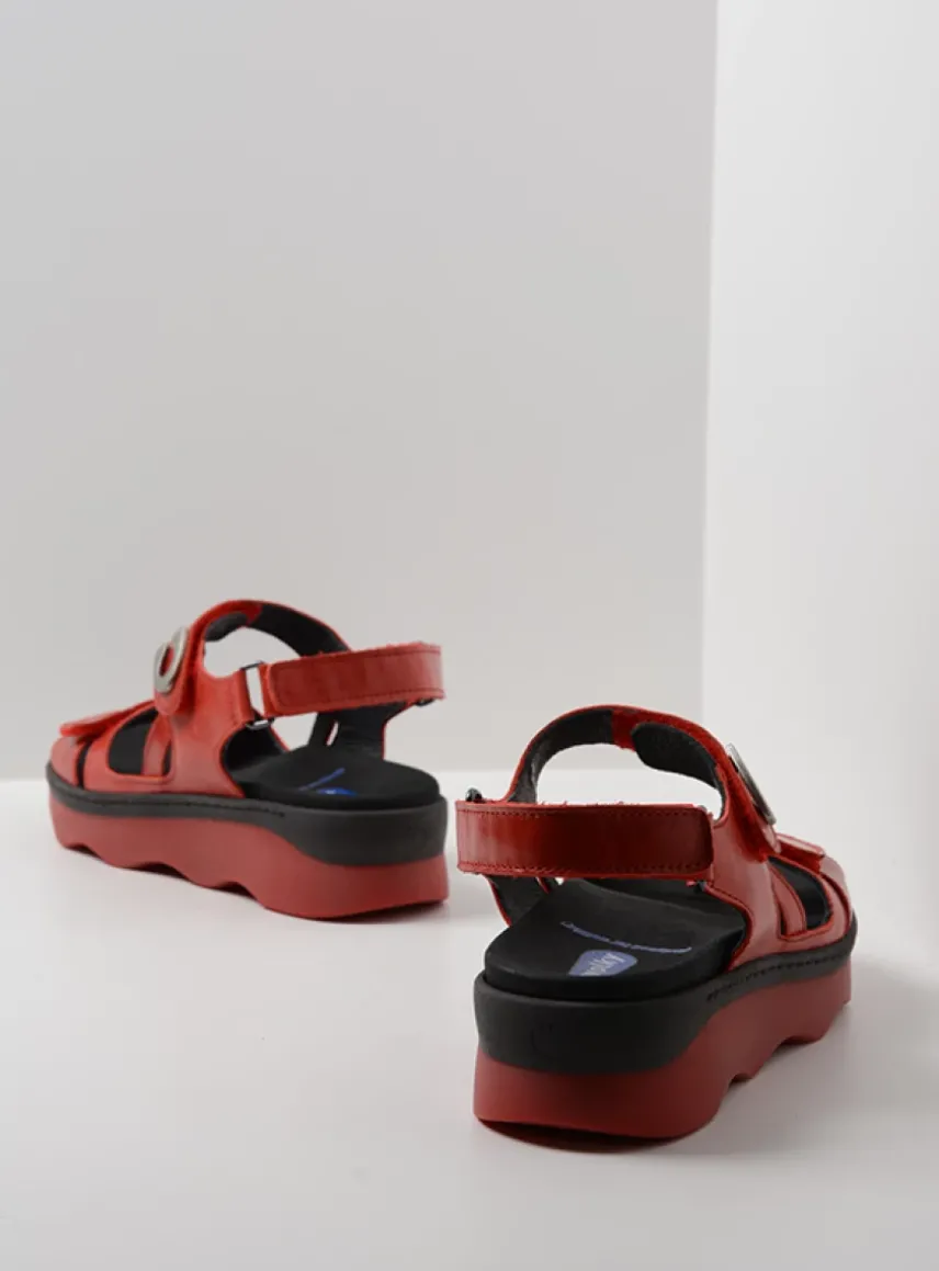 Medusa - rood leer