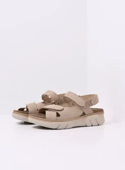Rapid - nubuck safari